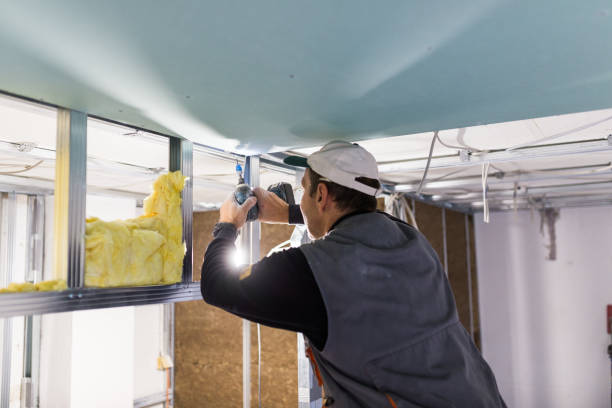 Types of Insulation We Offer in Thunderbolt, GA