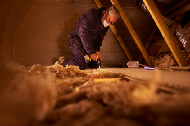 Best Commercial Insulation in Thunderbolt, GA
